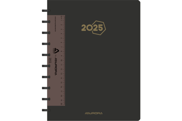 ADOC Agenda Polypro PAW 2025 8888.270 1W/2S schwarz ML 21x27cm