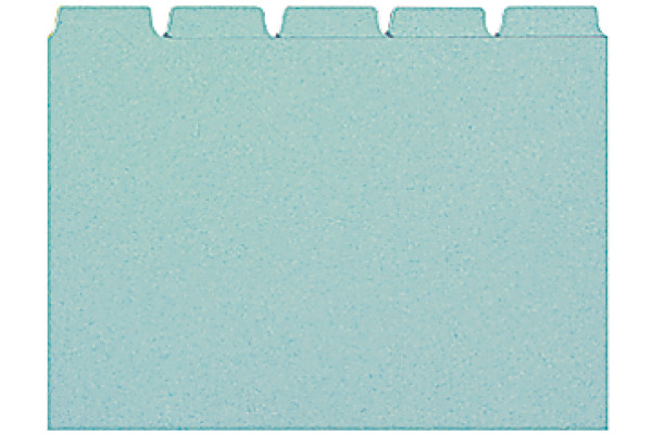 BIELLA Kartei-Leitkarten blanko A7 21075505U blau 25-teilig