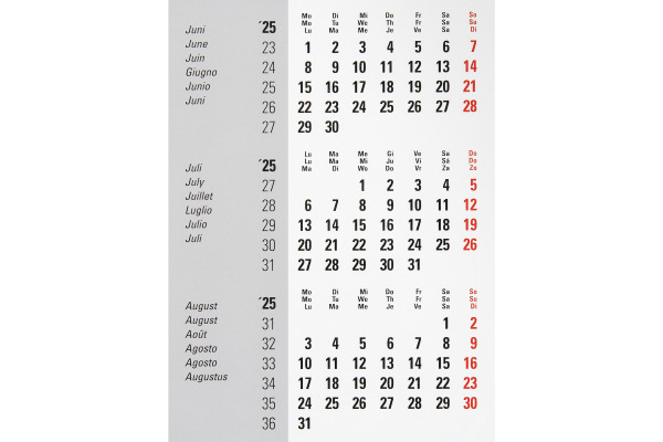 BIELLA Pultkalender DesktopFrame 2025 883511000 3M/1S Ersatzrolle ML 18x11cm