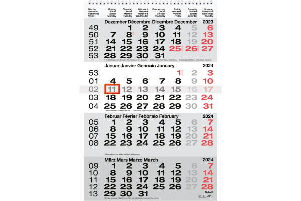 BIELLA 4-Monats-Kalender 2024 889040000 4M/1S grau ML 31x47cm