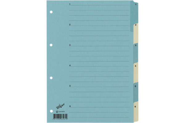 B&amp;Uuml;ROLINE Register Karton blau beige A4 663400 1-6
