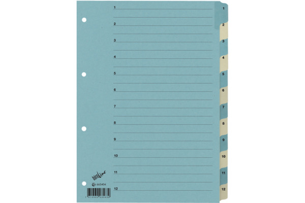 B&amp;Uuml;ROLINE Register Karton blau beige A4 663404 1-12