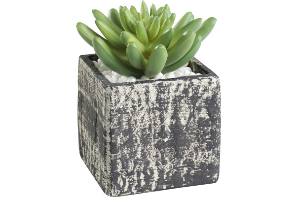 EGLO Kunstpflanze 12cm 428007 grün, im Topf