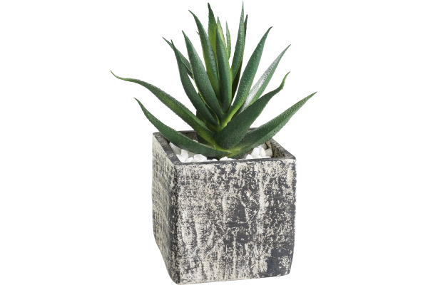EGLO Kunstpflanze 12cm 428008 grün, im Topf