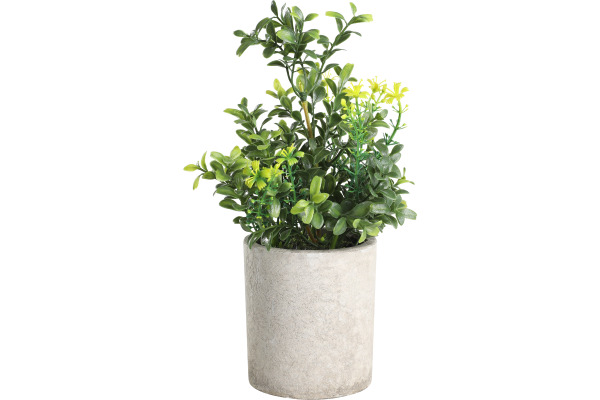EGLO Kunstpflanze 25cm 428025 grün, im Topf