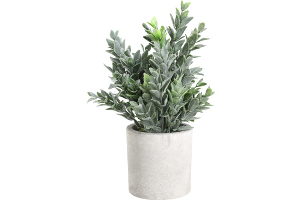 EGLO Kunstpflanze 22cm 428027 grün, im Topf