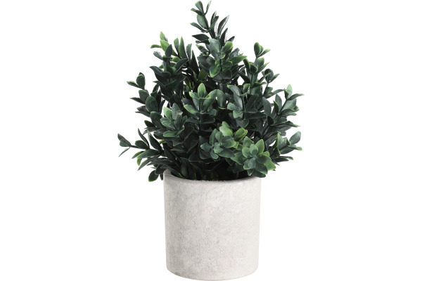 EGLO Kunstpflanze 23cm 428028 grün, im Topf
