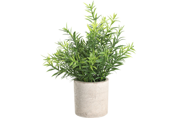 EGLO Kunstpflanze 22cm 428029 grün, im Topf