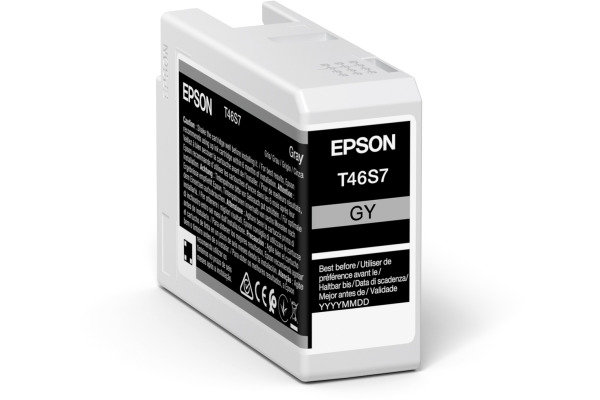 EPSON Tintenpatrone gray T46S700 SureColor SC-P700 26ml