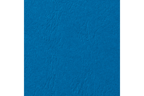 GBC Einbanddeckel A4 CE040020 blau, 250g 100 St&amp;uuml;ck