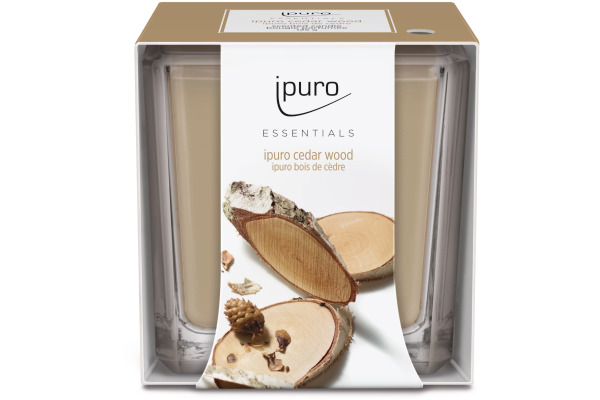 IPURO Duftkerze Essentials 051.1205 cedar wood 125g