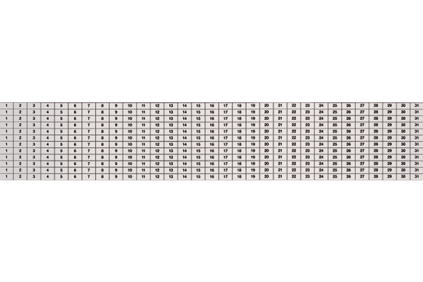 MAGNETOP. Magnetoflexband PVC bedruckt 17311S 12 Streifen 1-31 weiss