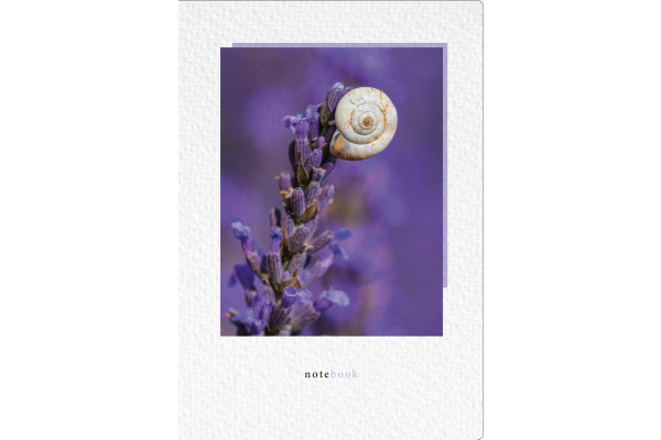 NATURVERL Notizbuch Crushpaper A5 11003N Lavendel Foto, dotted
