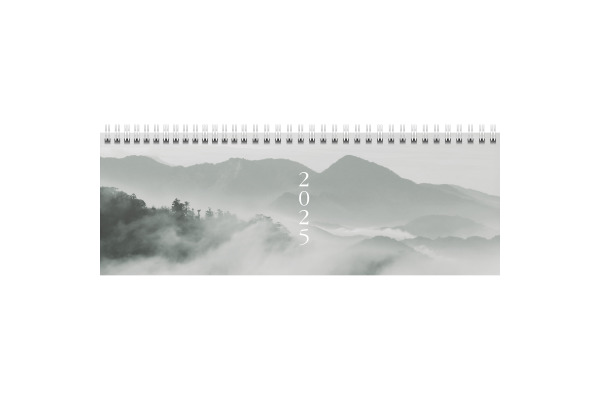 RIDOIDE Pultkalender Design Line 2025 631103525 1W/2S Cloudy DE 29.7x10.5cm