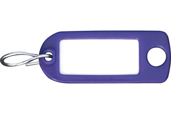 RIEFFEL SWITZERLAND Schlüssel-Anhänger 8034FS VIOLE violet 100 Stück