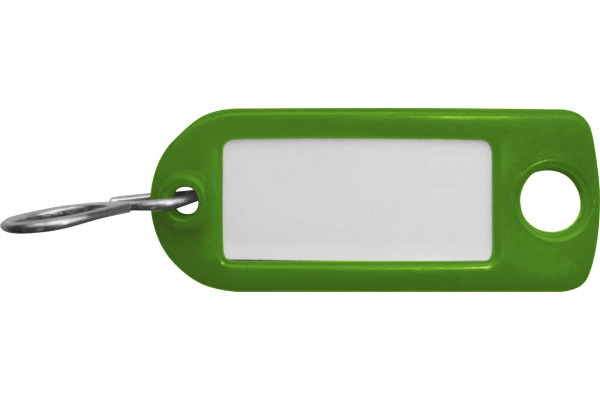 RIEFFEL Schlüssel-Anhänger A20961 grün 100 Stück