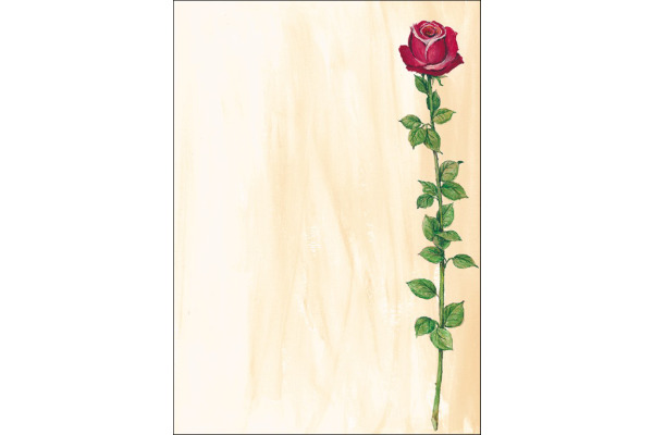 SIGEL Designpapier A4 DP695 Rose Bloom, 90g 25 Blatt