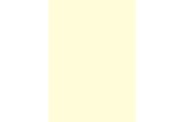 STEWO Geschenkpapier Uni Plain 528591351 70x200cm beige hell