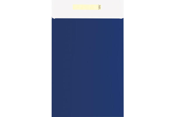 STEWO Geschenkbeutel Uni Basic 253665834 22x30cm blau dunkel FSC