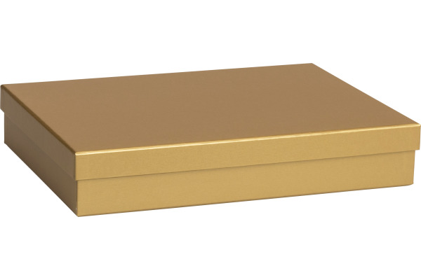 STEWO Geschenkbox One Colour 255178209 gold 24x33x6cm