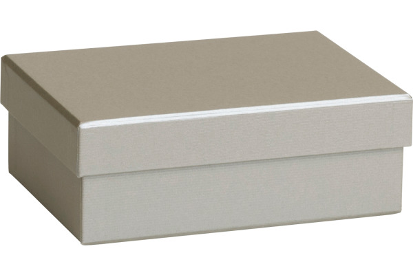 STEWO Geschenkbox One Colour 255178219 silber 12x16.5x6cm