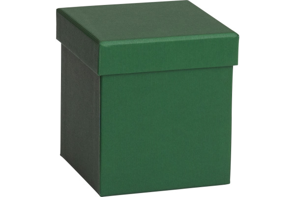 STEWO Geschenkbox One Colour 255178269 grün dunkel 11x11x12cm