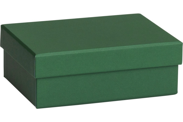 STEWO Geschenkbox One Colour 255178269 grün dunkel 12x16.5x6cm