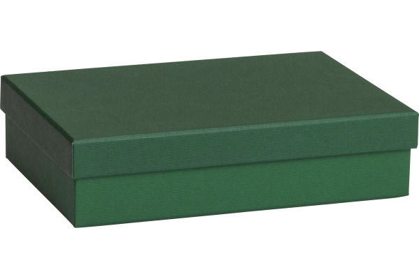 STEWO Geschenkbox One Colour 255178269 grün dunkel 16.5x24x6cm