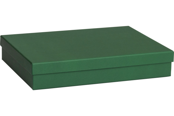 STEWO Geschenkbox One Colour 255178269 grün dunkel 24x33x6cm