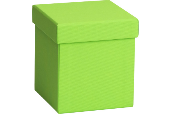 STEWO Geschenkbox One Colour 255178289 grün hell 11x11x12cm