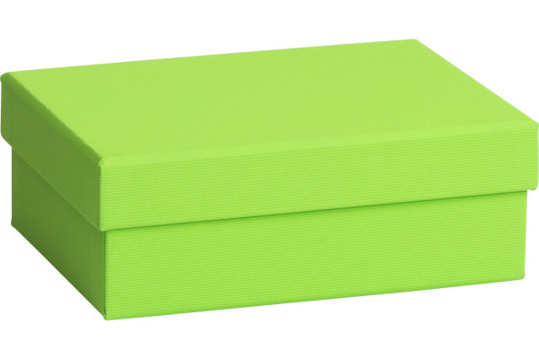 STEWO Geschenkbox One Colour 255178289 grün hell 12x16.5x6cm