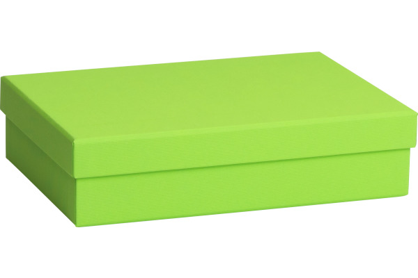STEWO Geschenkbox One Colour 255178289 grün hell 16.5x24x6cm