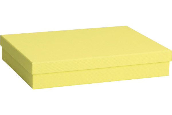 STEWO Geschenkbox One Colour 255178559 gelb 24x33x6cm