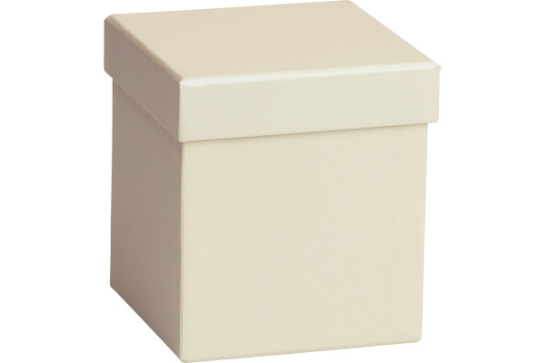 STEWO Geschenkbox One Colour 255178569 beige hell 11x11x12cm