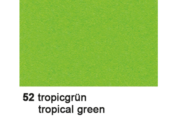 URSUS Fotokarton 70x100cm 3881452 300g, tropicgrün
