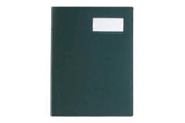 VIQUEL Sichtbuch A4 508003-04 grün 40 Taschen