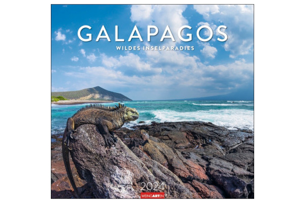 WEINGARTE Kalender Galapagos 2024 3312230 DE 48x46cm