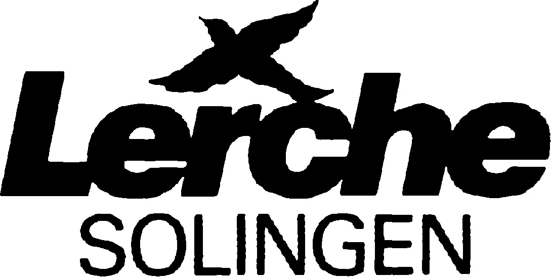 LERCHE Schere 15,5cm 47116 inox