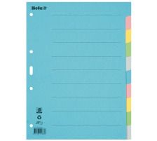 BIELLA Register Karton farbig A4 46141000U 10-teilig, blanko