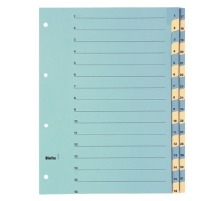 BIELLA Register Karton blau/gelb A4 46244300U 1-31 210g