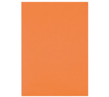 ELCO Organisationsmappe Ordo A4 29466.82 discreta, orange 100 Stück