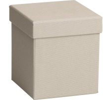 STEWO Geschenkbox Cube 255161669 grau hell 11x11x12cm