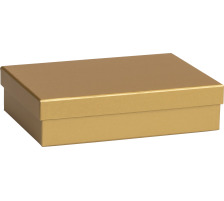 STEWO Geschenkbox One Colour 255178209 gold 16.5x24x6cm