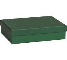 STEWO Geschenkbox One Colour 255178269 grün dunkel 16.5x24x6cm