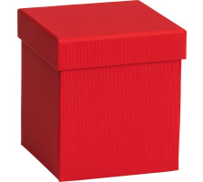 STEWO Geschenkbox One Colour 255178439 rot 11x11x12cm