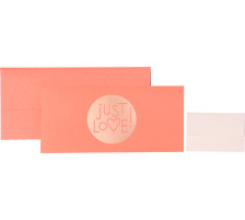 STEWO Gutscheinverpackung Amita 258154662 rosa 11x23cm