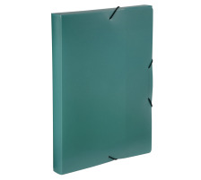 VIQUEL Cool Box A4 021303-09 grün