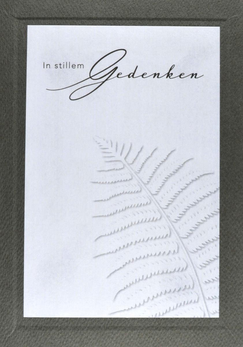 photo de l'article 498285