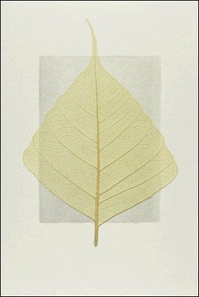 photo de l'article 709108