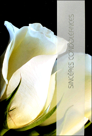 ABC Carte de deuil français 43873 Rose blanche multicolor Rose blanche multicolor
